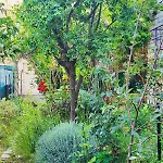 Apartment Paisible Pour 4 Personnes Montpellier