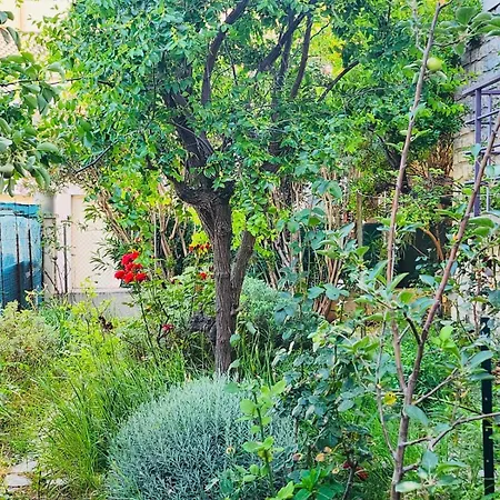 Апартаменты Paisible Pour 4 Personnes Монпелье